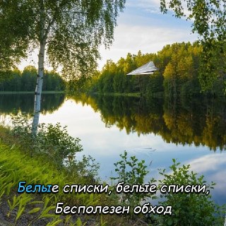 Иллюстрация 7