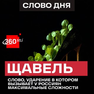 Топ-20 слов с самым высоким спросом на проверку ударения в России