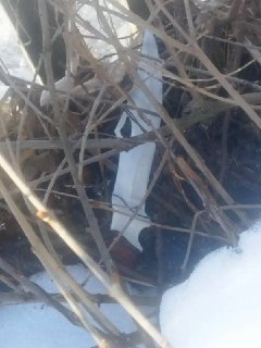 Пьяный пасынок зарезал отчима в Омской области