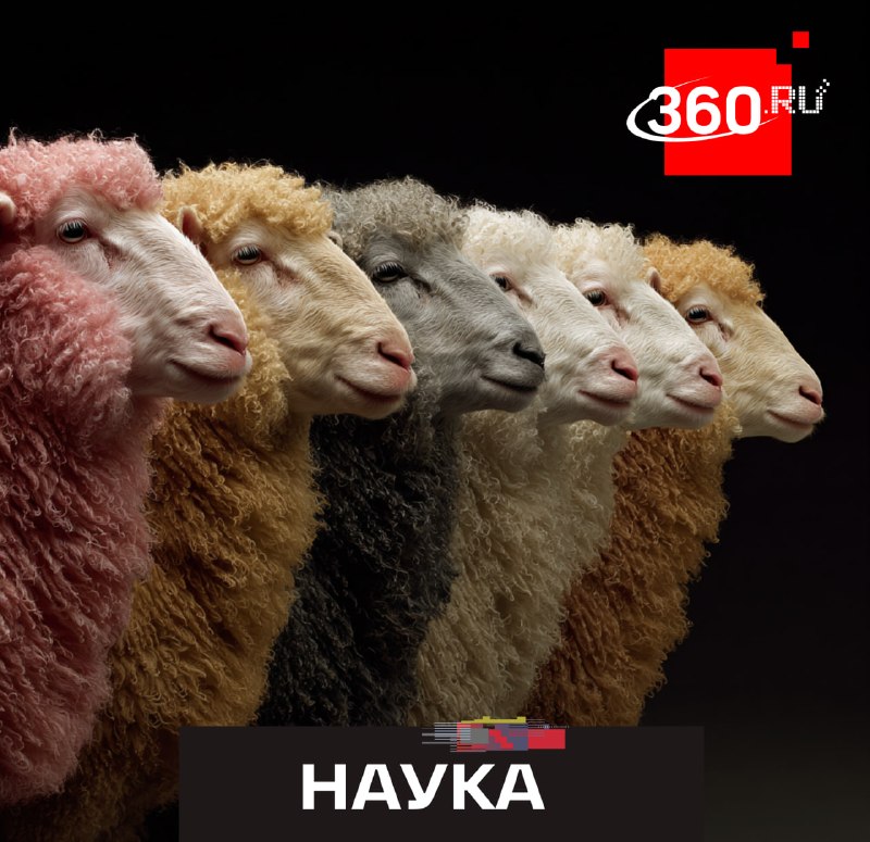 Ученые подтвердили: природа не дает клонировать себя вечно