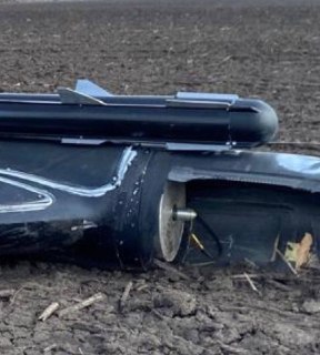 Иллюстрация 2