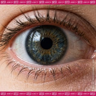 В Китае предложили лечить рак глазными каплями с семенем свиней