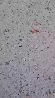 Иллюстрация 6