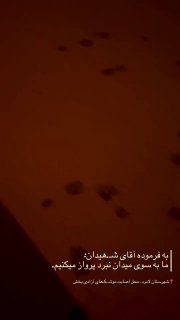 Иллюстрация 7