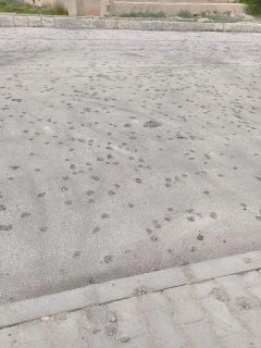 Иллюстрация 8