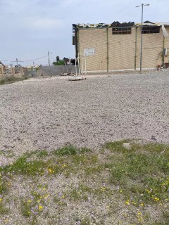 Иллюстрация 9