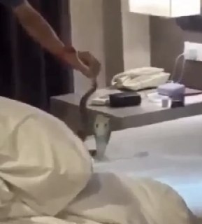 Иллюстрация 2