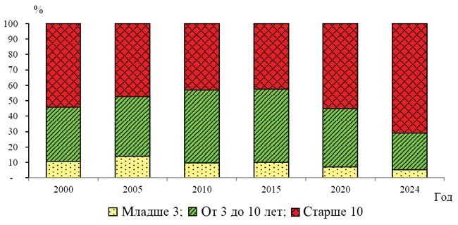 Доля старых автомобилей в России может достичь 80% к 2030 году