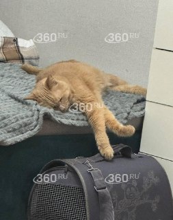 Иллюстрация 3