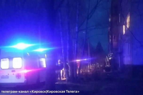 Атака БПЛА в Ленобласти: пострадали дети и взрослый, повреждены дома и школа