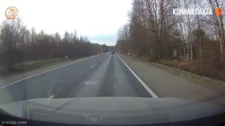 Массовый утиный переход на дороге в Петербурге: водителей просят быть внимательными