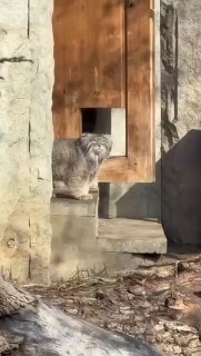 Московский зоопарк меняет график работы с 1 апреля