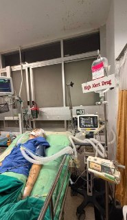 Россиянка в коме после аварии на байке в Таиланде