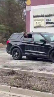 Женщина сбежала из полицейской машины в США