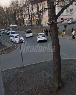 Иллюстрация 1