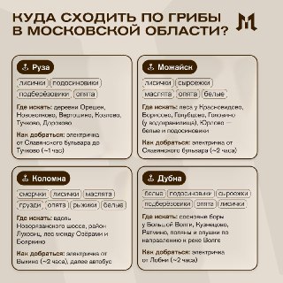 Грибной сезон стартовал в Подмосковье