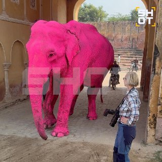 Иллюстрация 2