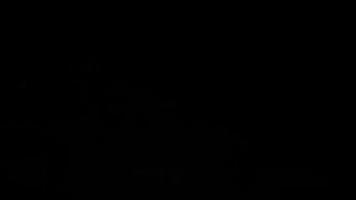 The Long Dark завершена: вышел пятый эпизод