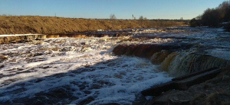 Иллюстрация 2