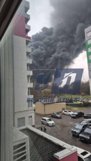 Иллюстрация 5