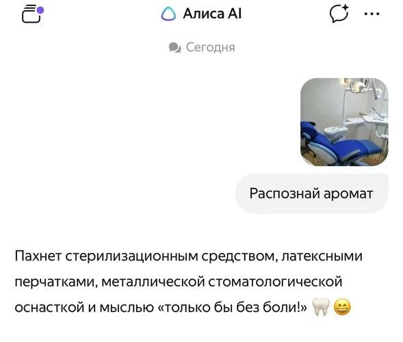 Алиса AI научилась распознавать запахи по фото