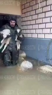 В Дагестане жители спасают скот из затопленных дворов на лодках
