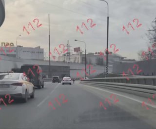 На МКАД выбежали две лошади