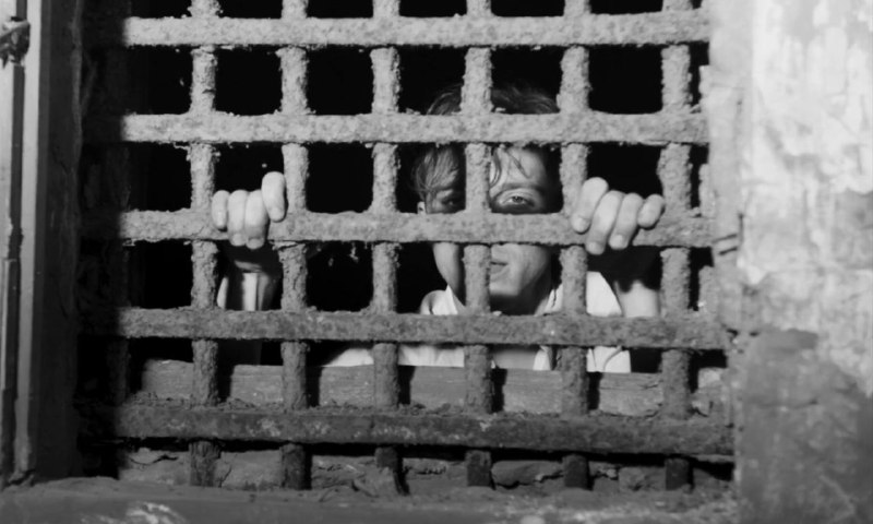 Иллюстрация 8