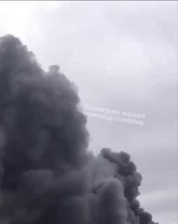 Иллюстрация 9