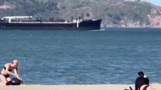 Виндсерфер врезался в кита во время заплыва