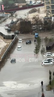 Иллюстрация 1