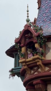 Вороны портят куклу Рапунцель в Диснейленде Токио