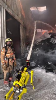 В Дубае начали использовать роботов-собак для тушения пожаров