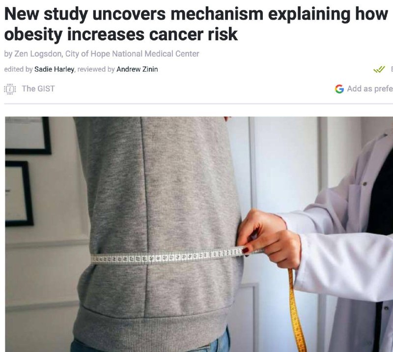 Ученые: ожирение вызывает 18 видов рака