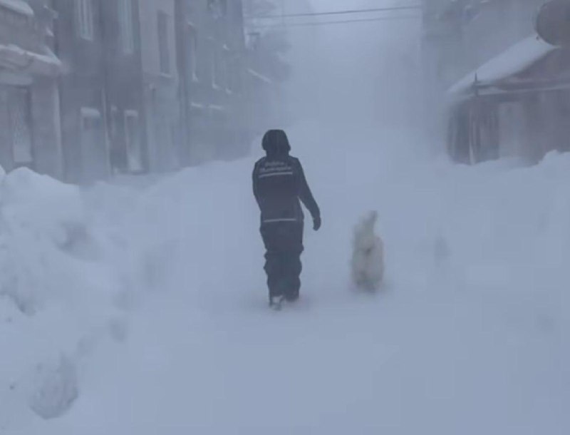 Иллюстрация 3