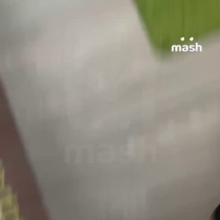 Иллюстрация 1