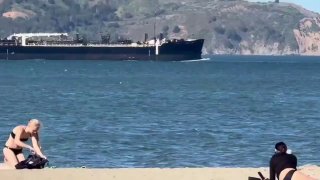 Виндсёрфер столкнулся с китом в Калифорнии