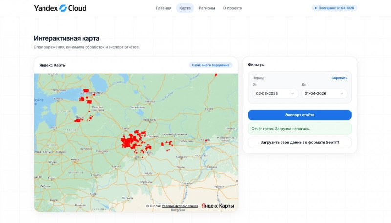 Борщевик в России начали отслеживать с помощью ИИ и спутников