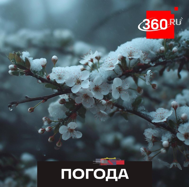 Синоптики предупредили о заморозках в середине апреля