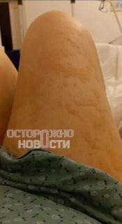 Иллюстрация 6