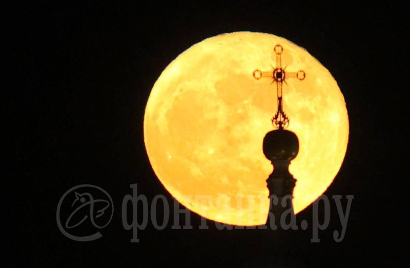 Иллюстрация 2