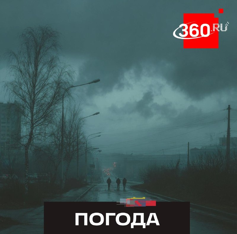 В Подмосковье придут заморозки и усилится ветер