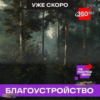 В Раменском возродят старинную усадьбу и обновят лесопарки