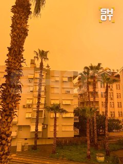 Иллюстрация 2