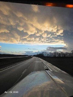 Иллюстрация 2