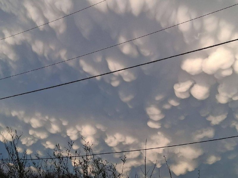 Иллюстрация 4