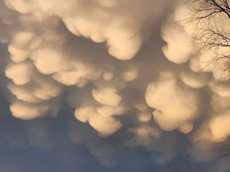 Иллюстрация 5