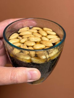 Иллюстрация 3