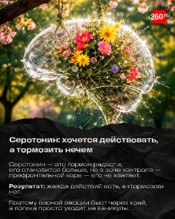 Иллюстрация 3