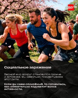 Иллюстрация 6